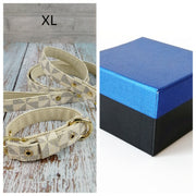 Classic Pet Collar with Leash Set