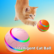 USB Rechargeable Interactive Cat Ball Toy