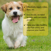 External Parasite Skin Care for Cats and Dogs