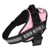 Personalized No-Pull Reflective Dog Harness