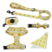 Floral Dog Harness and Leash Set