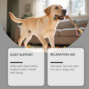 Advanced Melatonin Sleep Support Drops for Dogs