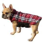 Adjustable Outdoor Pet Vest for Dogs