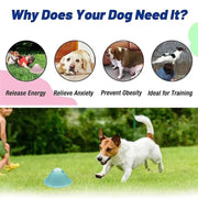 Durable Dog Chew Toy for All Breeds